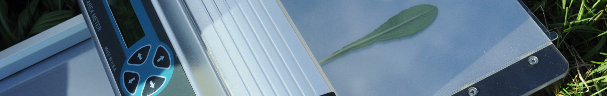 LeafScan